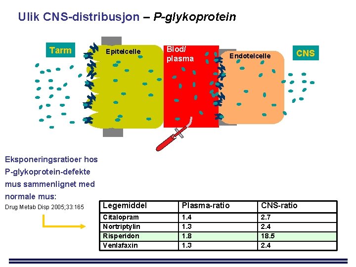 Ulik CNS-distribusjon – P-glykoprotein Tarm Epitelcelle Blod/ plasma Endotelcelle CNS Eksponeringsratioer hos P-glykoprotein-defekte mus