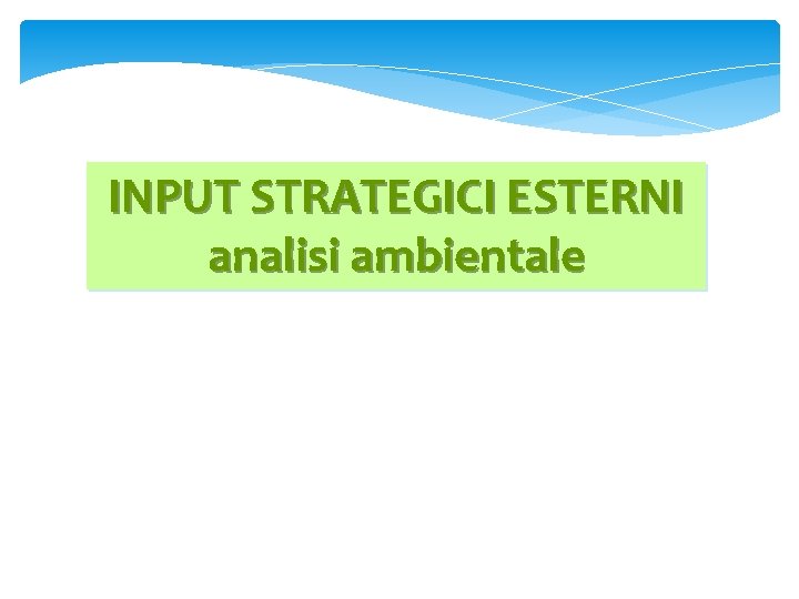 INPUT STRATEGICI ESTERNI analisi ambientale 