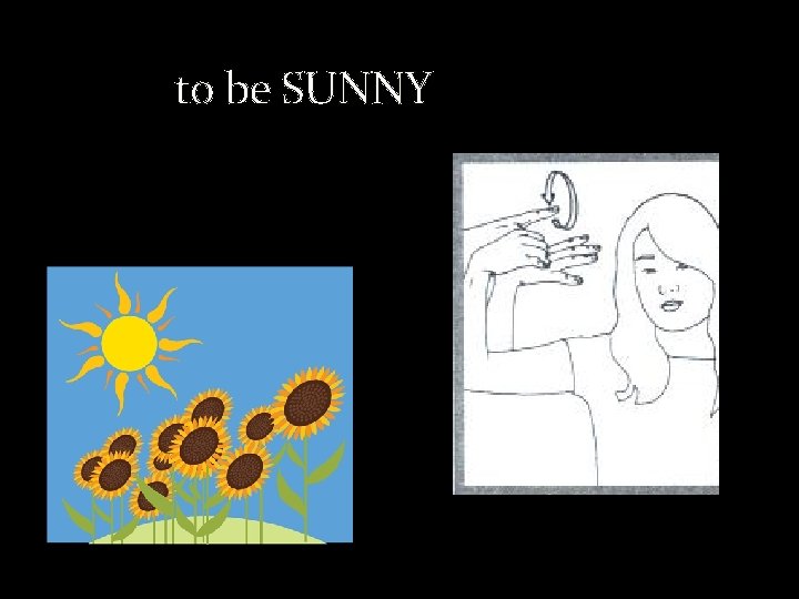 to be SUNNY 
