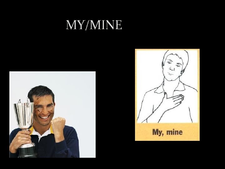 MY/MINE 