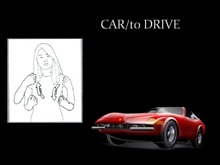 CAR/to DRIVE 