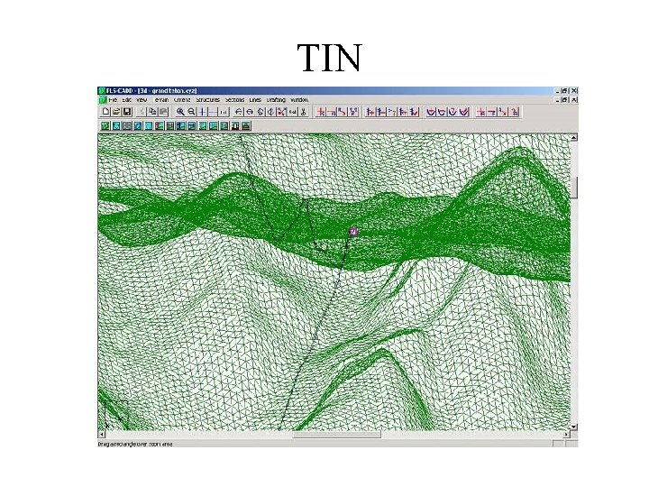 TIN 