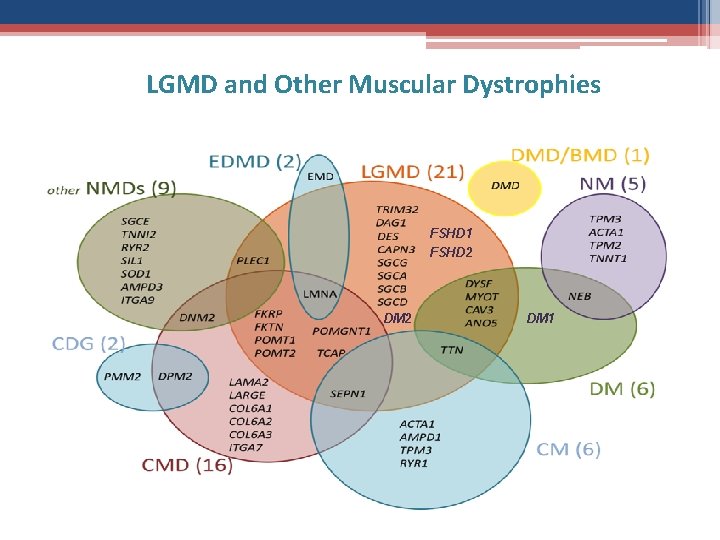 LGMD and Other Muscular Dystrophies FSHD 1 FSHD 2 DM 1 