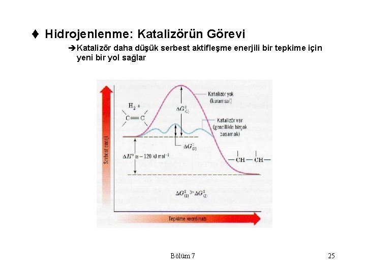 t Hidrojenlenme: Katalizörün Görevi èKatalizör daha düşük serbest aktifleşme enerjili bir tepkime için yeni