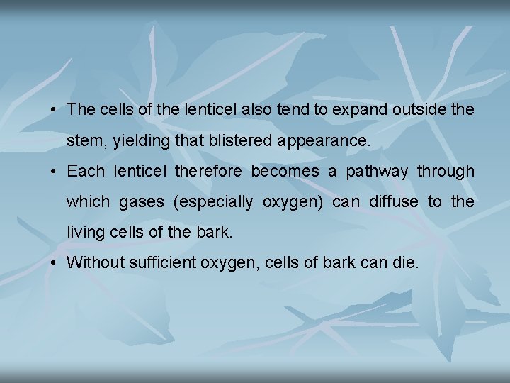  • The cells of the lenticel also tend to expand outside the stem,