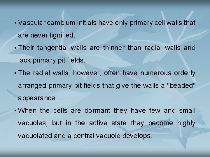  • Vascular cambium initials have only primary cell walls that are never lignified.