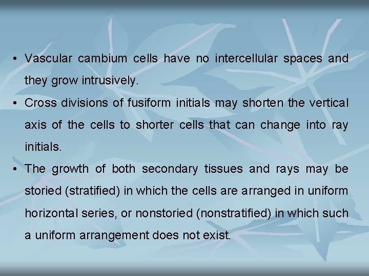  • Vascular cambium cells have no intercellular spaces and they grow intrusively. •