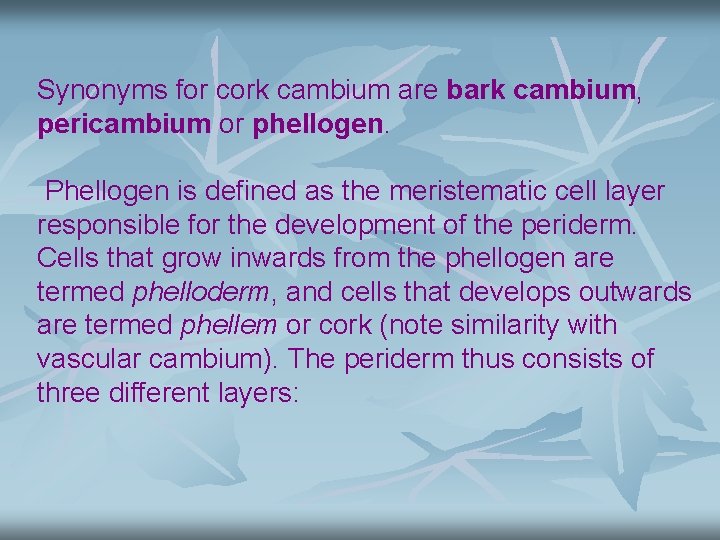 Synonyms for cork cambium are bark cambium, pericambium or phellogen. Phellogen is defined as