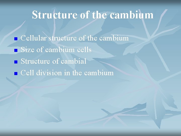 Structure of the cambium n n Cellular structure of the cambium Size of cambium