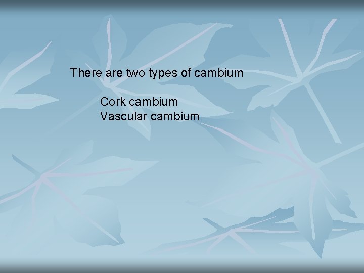There are two types of cambium Cork cambium Vascular cambium 