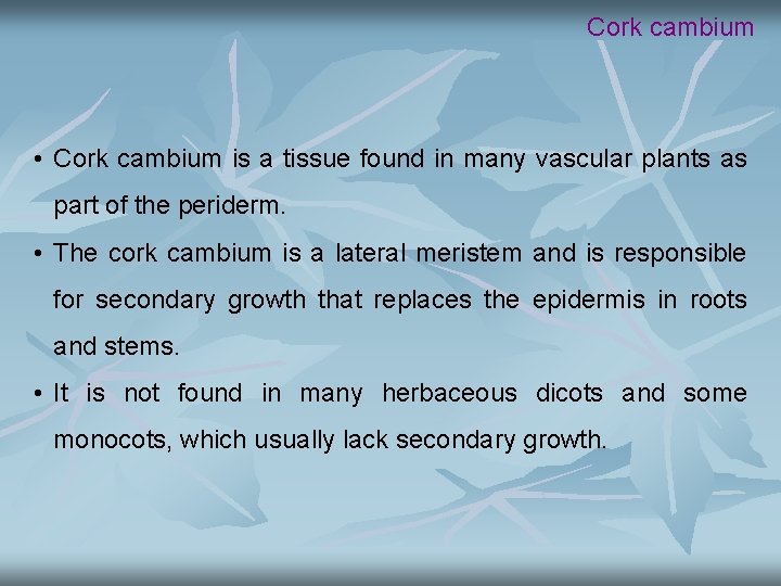 Cork cambium • Cork cambium is a tissue found in many vascular plants as