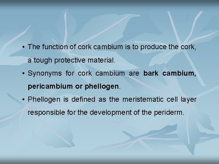  • The function of cork cambium is to produce the cork, a tough