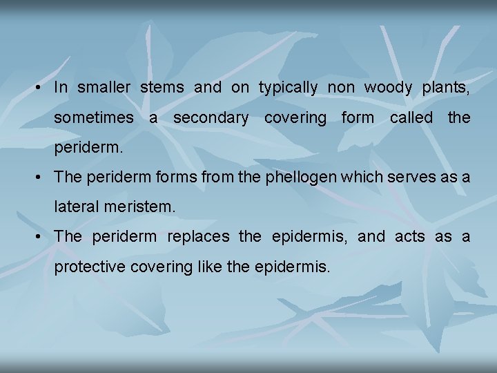  • In smaller stems and on typically non woody plants, sometimes a secondary