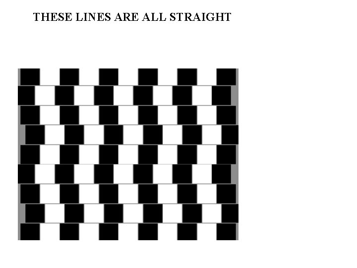 THESE LINES ARE ALL STRAIGHT 