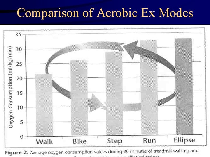 Comparison of Aerobic Ex Modes 