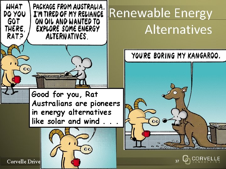 Renewable Energy Alternatives Good for you, Rat Australians are pioneers in energy alternatives like