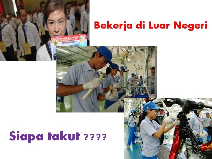 Bekerja di Luar Negeri Siapa takut ? ? 