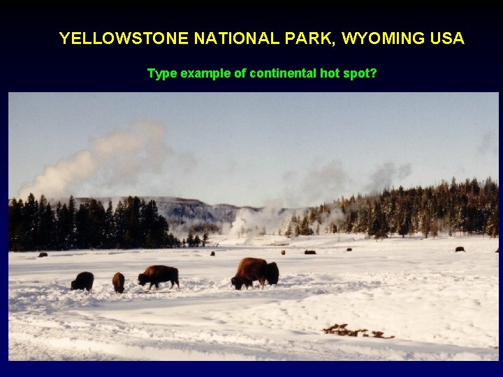 YELLOWSTONE NATIONAL PARK, WYOMING USA Type example of continental hot spot? 