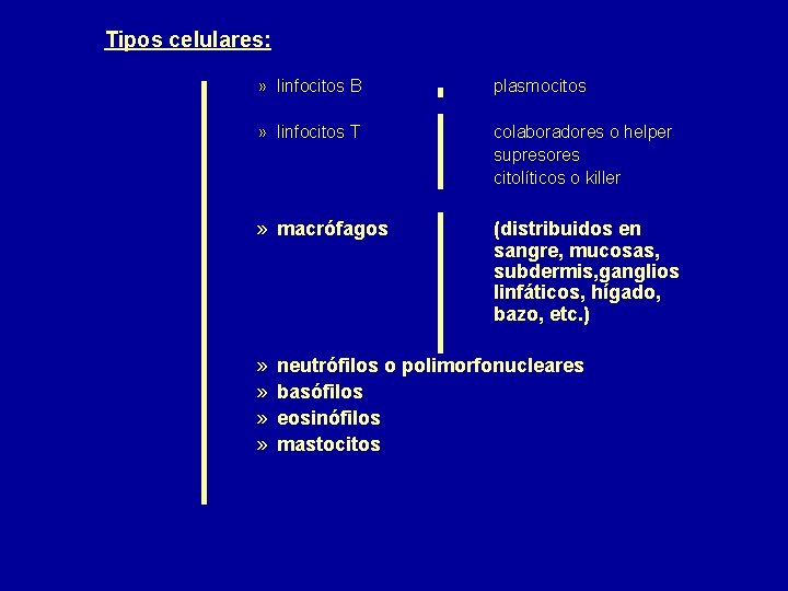 Tipos celulares: » linfocitos B plasmocitos » linfocitos T colaboradores o helper supresores citolíticos