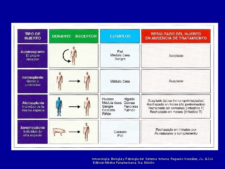 Inmunología. Biología y Patología del Sistema Inmune. Regueiro González, J. L. & Col. Editorial