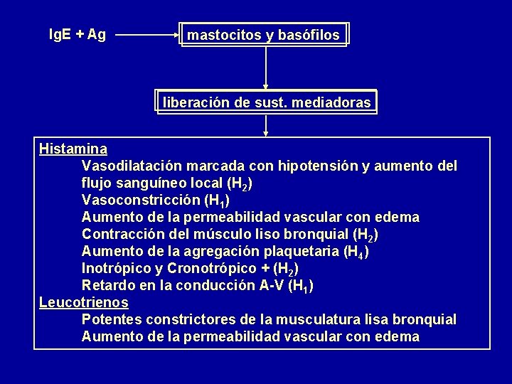 Ig. E + Ag mastocitos y basófilos liberación de sust. mediadoras Histamina Vasodilatación marcada