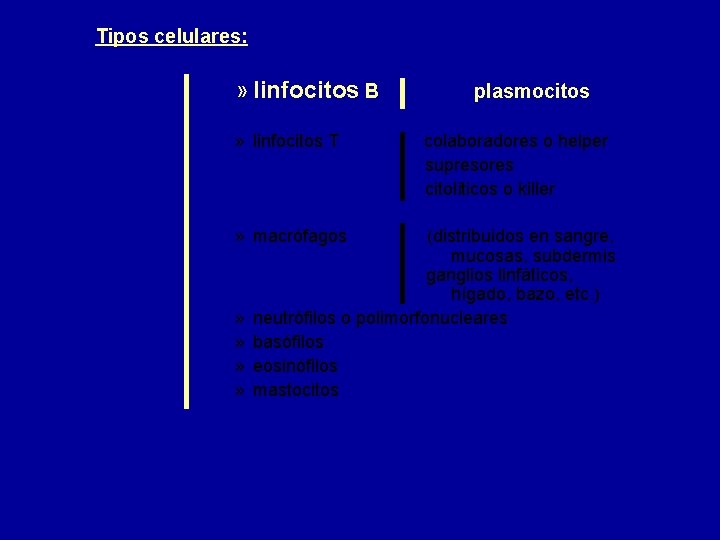 Tipos celulares: » linfocitos B » linfocitos T » macrófagos » » plasmocitos colaboradores