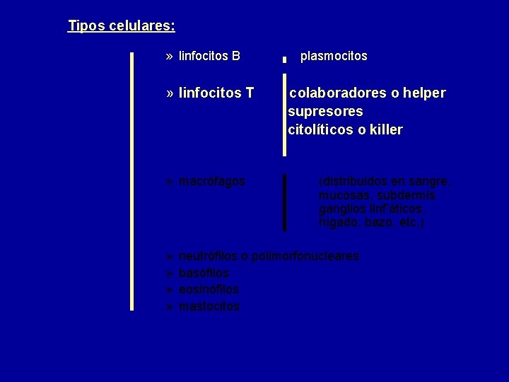 Tipos celulares: » linfocitos B » linfocitos T » macrófagos » » plasmocitos colaboradores