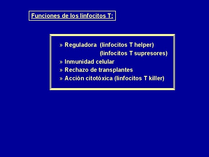 Funciones de los linfocitos T: » Reguladora (linfocitos T helper) (linfocitos T supresores) »