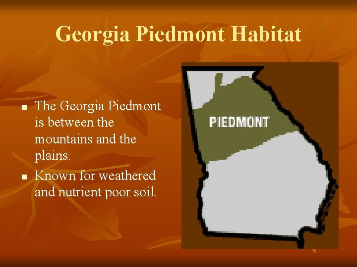 Georgia Piedmont Habitat n n The Georgia Piedmont is between the mountains and the