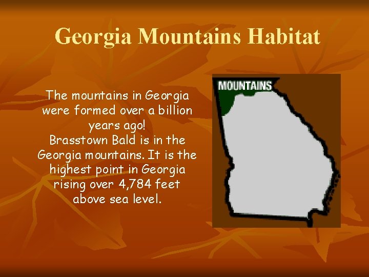 Georgia Mountains Habitat The mountains in Georgia were formed over a billion years ago!