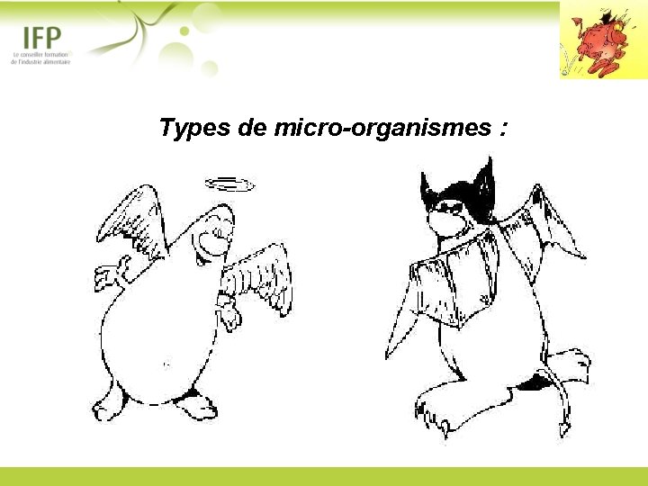 Types de micro-organismes : 