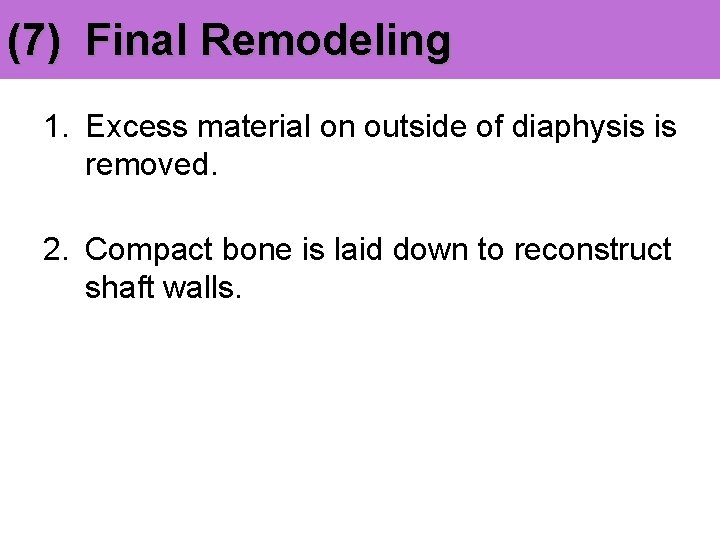 (7) Final Remodeling 1. Excess material on outside of diaphysis is removed. 2. Compact