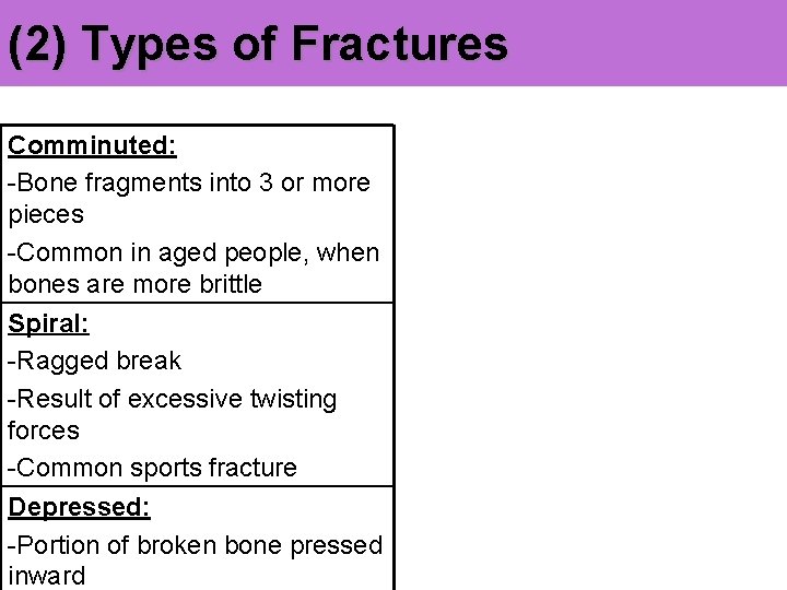 (2) Types of Fractures Comminuted: -Bone fragments into 3 or more pieces -Common in
