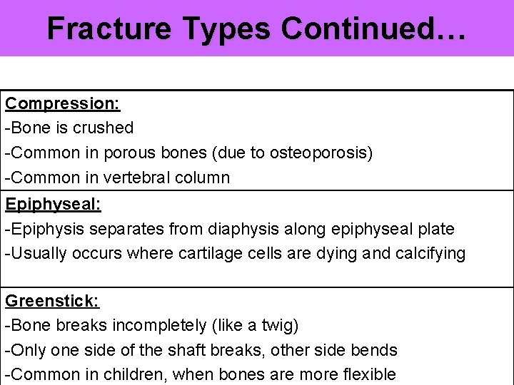 Fracture Types Continued… Compression: -Bone is crushed -Common in porous bones (due to osteoporosis)