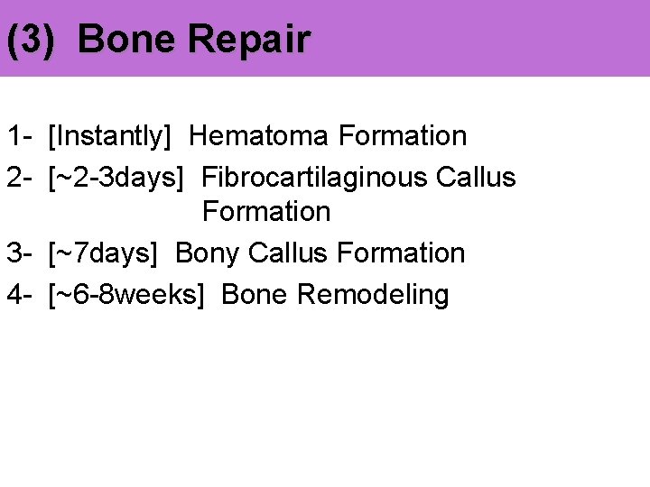 (3) Bone Repair 1 - [Instantly] Hematoma Formation 2 - [~2 -3 days] Fibrocartilaginous