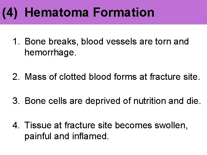 (4) Hematoma Formation 1. Bone breaks, blood vessels are torn and hemorrhage. 2. Mass