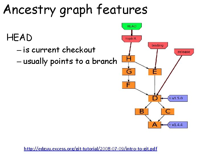 Ancestry graph features HEAD – is current checkout – usually points to a branch