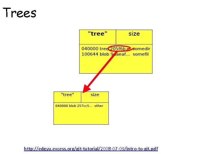 Trees http: //edgyu. excess. org/git-tutorial/2008 -07 -09/intro-to-git. pdf 