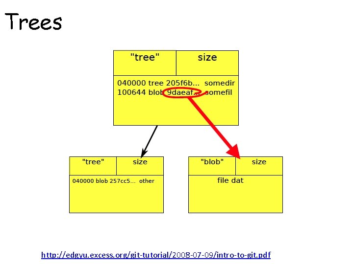 Trees http: //edgyu. excess. org/git-tutorial/2008 -07 -09/intro-to-git. pdf 