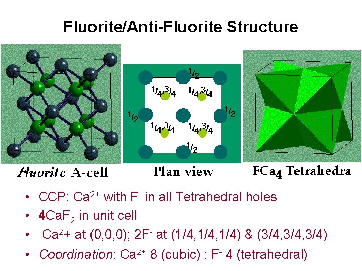 Fluorite/Anti-Fluorite Structure • CCP: Ca 2+ with F- in all Tetrahedral holes • 4