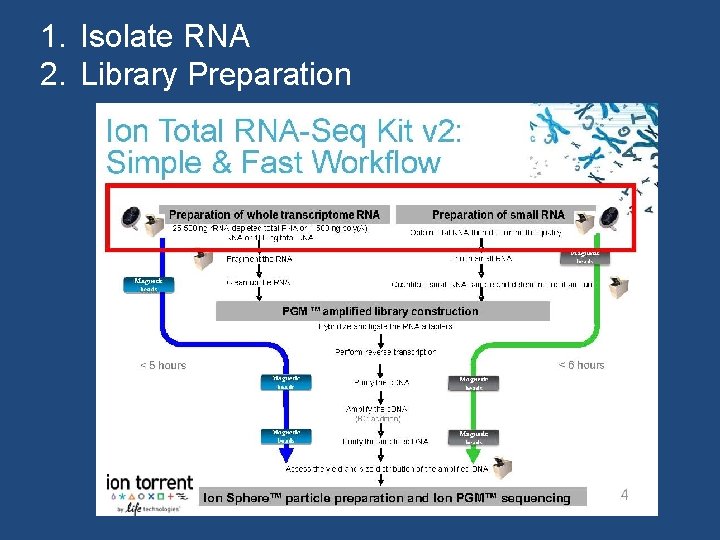 1. Isolate RNA 2. Library Preparation 