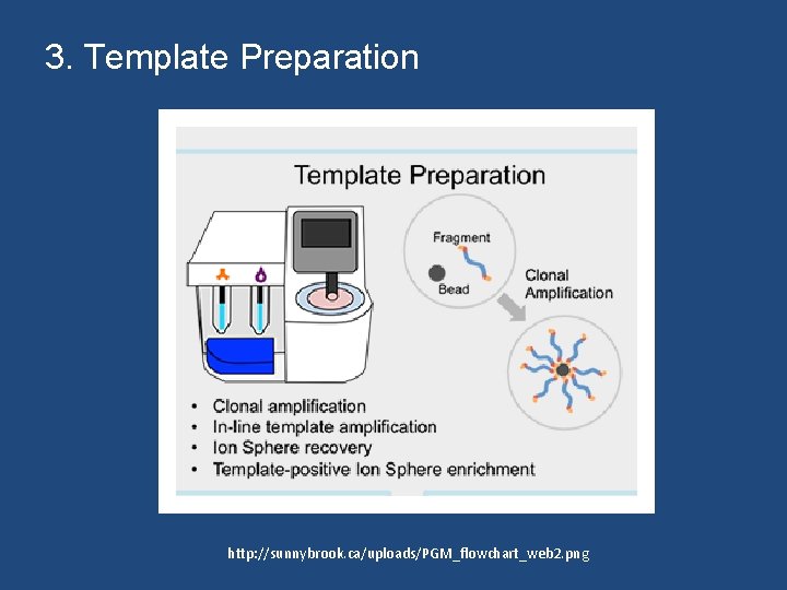 3. Template Preparation http: //sunnybrook. ca/uploads/PGM_flowchart_web 2. png 