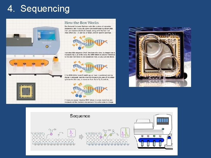 4. Sequencing 