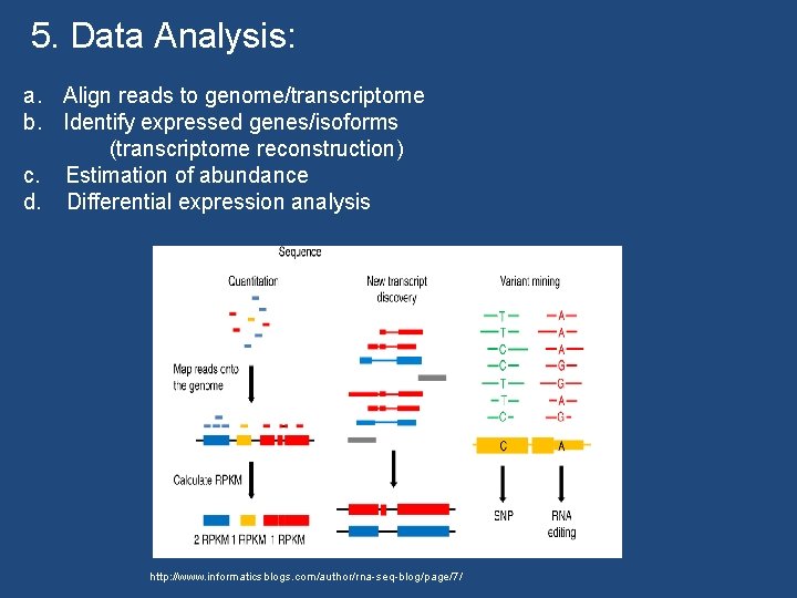 5. Data Analysis: a. Align reads to genome/transcriptome b. Identify expressed genes/isoforms (transcriptome reconstruction)