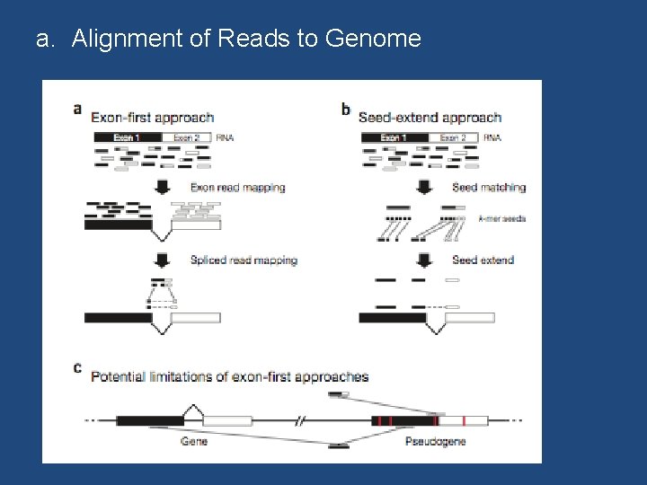 a. Alignment of Reads to Genome 