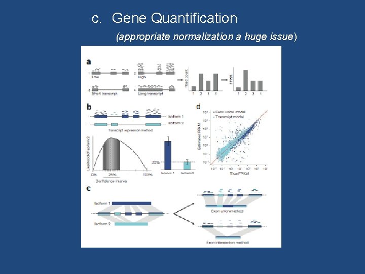 c. Gene Quantification (appropriate normalization a huge issue) 