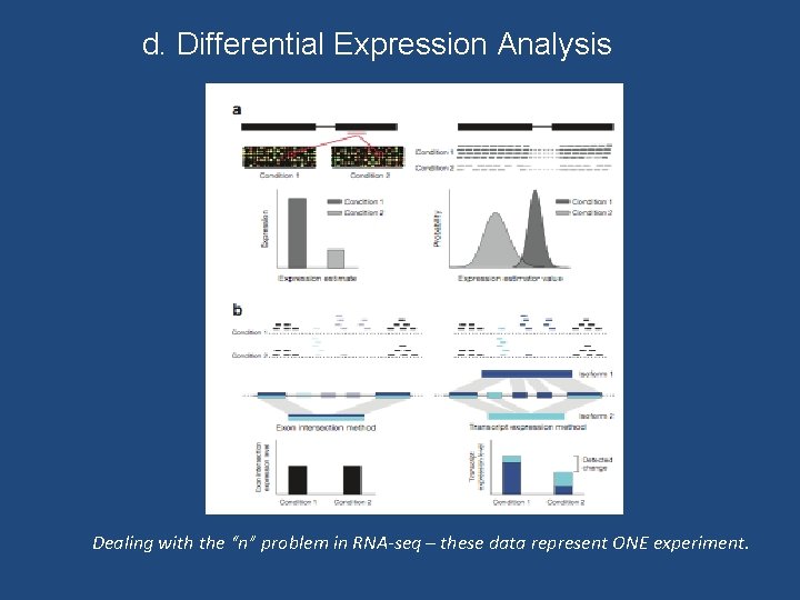 d. Differential Expression Analysis Dealing with the “n” problem in RNA-seq – these data