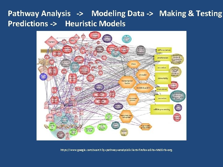 Pathway Analysis -> Modeling Data -> Making & Testing Predictions -> Heuristic Models https: