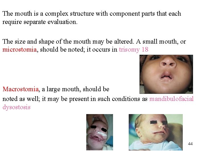 The mouth is a complex structure with component parts that each require separate evaluation.