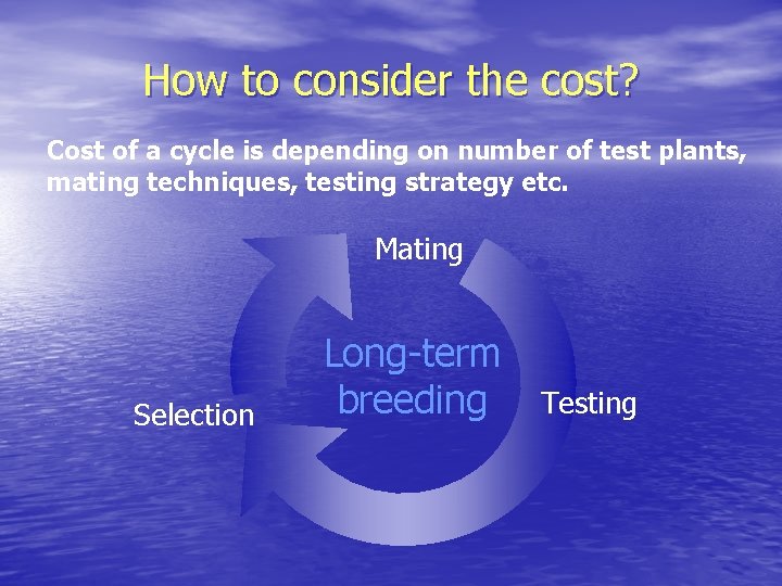 How to consider the cost? Cost of a cycle is depending on number of